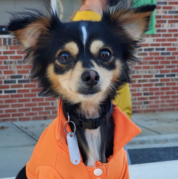 Meet your Posher’s Chiquita & Michael Womic❤️❤️ - Picture 10 of 16